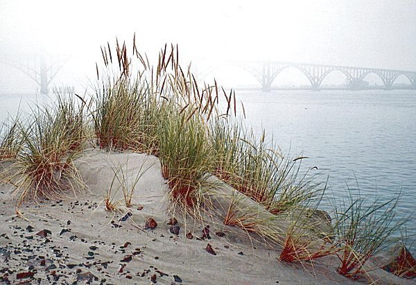 Photo of Yaquina Bay